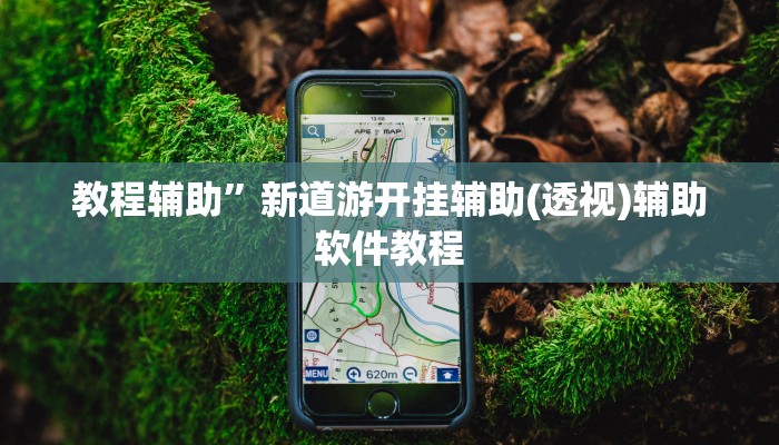 教程辅助”新道游开挂辅助(透视)辅助软件教程