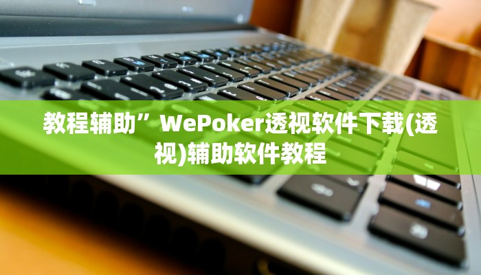 教程辅助”WePoker透视软件下载(透视)辅助软件教程
