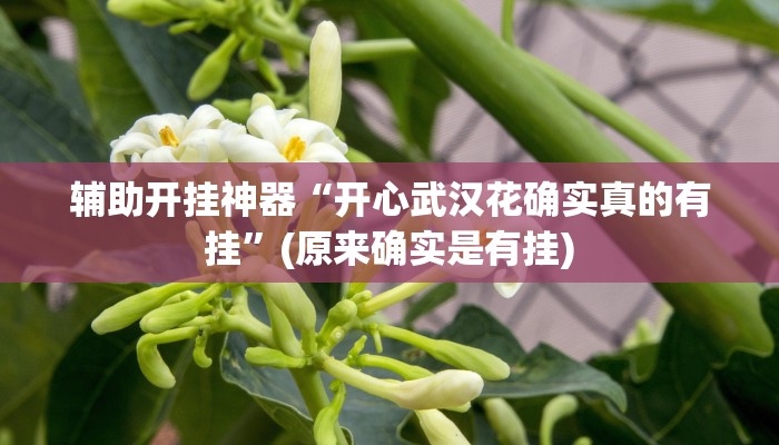 辅助开挂神器“开心武汉花确实真的有挂”(原来确实是有挂)
