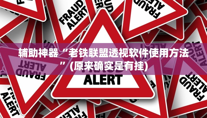 辅助神器“老铁联盟透视软件使用方法”(原来确实是有挂)