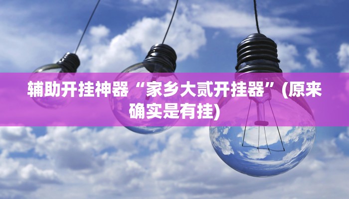 辅助开挂神器“家乡大贰开挂器”(原来确实是有挂)