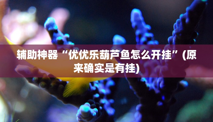 辅助神器“优优乐葫芦鱼怎么开挂”(原来确实是有挂)