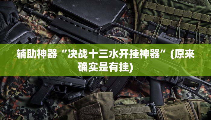 辅助神器“决战十三水开挂神器”(原来确实是有挂)