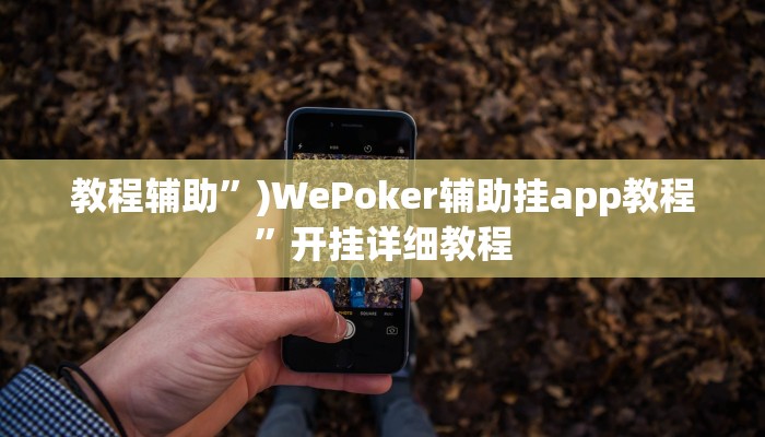 教程辅助”)WePoker辅助挂app教程”开挂详细教程
