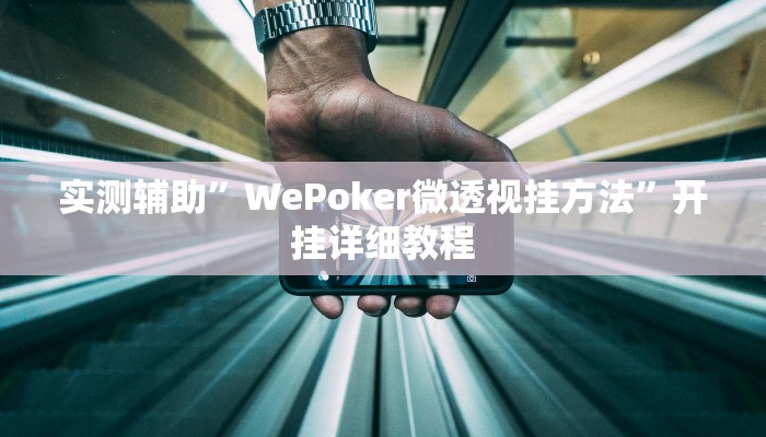 实测辅助”WePoker微透视挂方法”开挂详细教程
