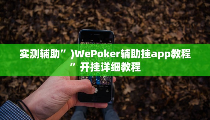 实测辅助”)WePoker辅助挂app教程”开挂详细教程